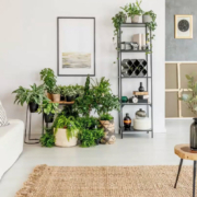 equilibrio-homestaging